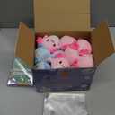 Valentines Day Gifts for Kids Classroom, 24 Pack Axolotl Plush Toys with Kids Valentines Cards, Stuffed Axolotl for School Valentines Gifts Exchange, Valentines Party Favors Supply for Boys Girls