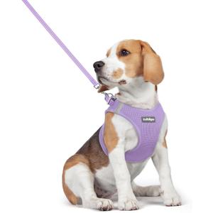 Rabbitgoo Dog Harness Small Medium Sized and Leash Set, Step in Soft Light Puppy Vest, Breathable Mesh Pet Harness, Reflective for Safe Easy Walking, Light Purple L (L (Chest: 18.2 - 20.5"))