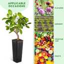 DOITOOL 50Pcs Plastic Deep Plant Nursery Pots, 11.2" Tall Tree Pot Black Seedling Treepots Flower Plant Container with Drainage Holes for Indoor Outdoor Gardening (11.2" H X 3" W)