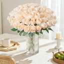 DREAMLOOM 50pcs Roses Artificial Flowers, Fake Roses Realistic with Long Stems Real Touch Silk Flowers Bouquet for Valentine's Day Wedding Anniversary DIY Floral Arrangement Gifts, Champagne