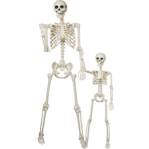 breesky Halloween Skeleton Model for Decoration: 5.4Ft Skeleton with 3Ft Skeleton with Movable Joints -Plastic Human Bones for Halloween Party, Yard Lawn Decoration