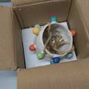 Kalalou CDV2109 Planter 5.91 inches