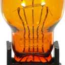 Wagner Lighting BP3757NALL Long Life Multi-Purpose Light Bulb Card of 2