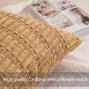 Aegero Pack of 2 Corduroy Decorative Throw Pillow Covers 18x18 InchSoft Boho Striped Pillow Covers Modern Farmhouse Home Decor for Sofa Living Room Couch BedCoffee