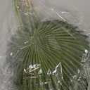 6 Pcs Pu Foam Artificial Palm Leaves Faux Palm Tropical Leaves Fake Palm Fronds for DIY Wedding Bouquets Fake Leaves for Centerpieces Arrangements Bridal Shower Palm Leaf for Party Home Decorations