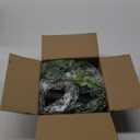 Palonu Artificial Hanging Plants for Shelf, 4 Pack Fake Potted Greenery Faux Eucalyptus Vine, Mandala Vine, String of Pearls,Pea pod Leaves in Pot for Office Living Room Bathroom Indoor Outdoor Dcor