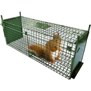 ARIFARO Animal Cage Trap (31" L x 10" W x 11" H) Humane Live Cage Trap Double-Door Metal Capture Cage for Skunks,Raccoons,Rabbits,Stray Cats,Squirrels,Moles,Gophers