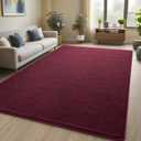 Pettop 5x7 ft Burgundy Red Area Rugs for Bedroom Living Room, Washable Memory Foam Indoor Carpet, Modern Aesthetic Minimalist Non Slip Soft Comfy Carpet for Boys Girls Dorm Home Decor