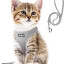 Fida Cat Harness and Leash Set for Walking Kitten and Puppy, Escape Proof Kitten Harness with Breathable Lightweight Soft Mesh, Adjustable Reflective Step-in Design for Kitten and Puppy(XXXS, Grey)