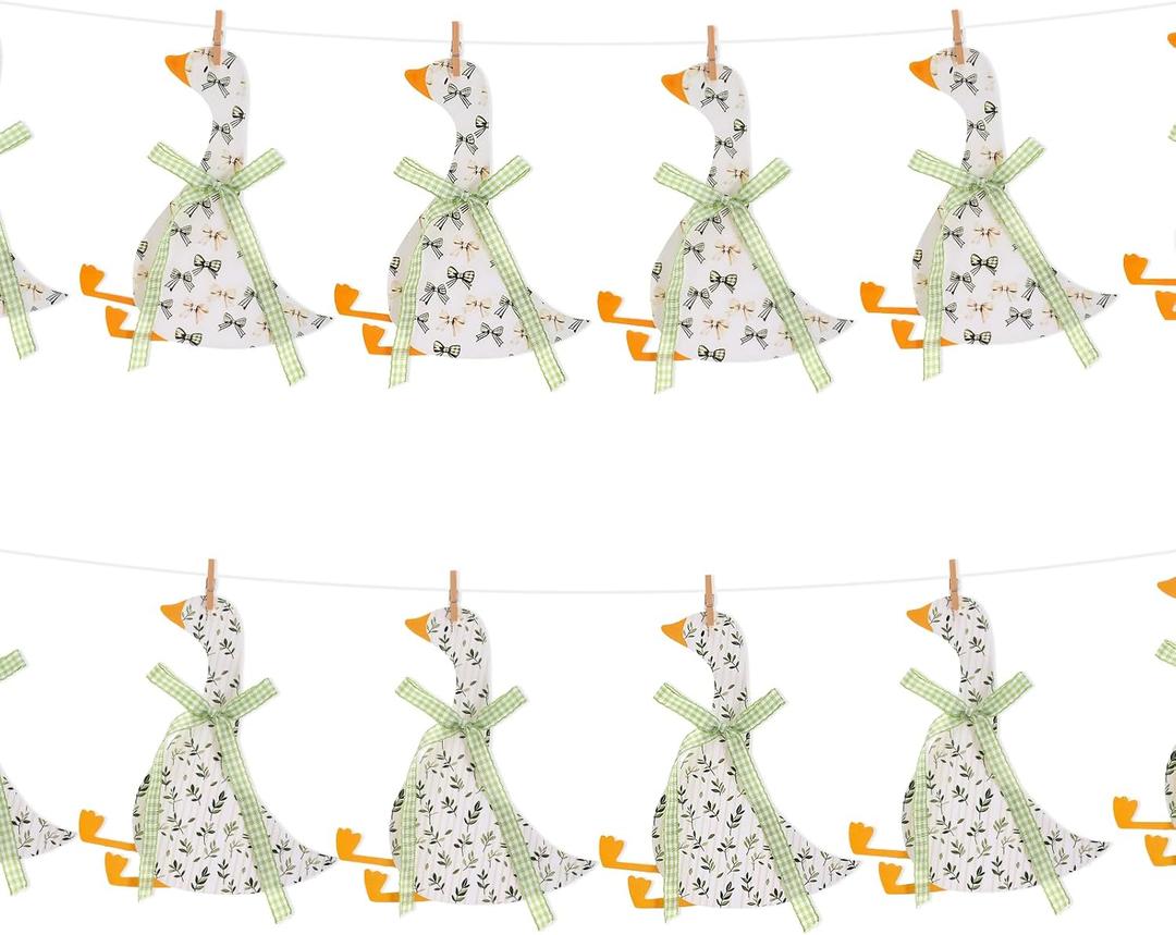 Silly Goose Baby Shower Decorations with Plaid Ribbon, One Silly Goose Birthday Banner for Baby Shower Gender Reveal Birthday Photo Props Party Favor Supplies