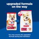 Hill's Science Diet Adult 1-6 Small Bites Dry Dog Food, Lamb Meal & Brown Rice, 33 lb. Bag, Best By 07/2027