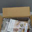 (Tank + Light + Filter Balls) Turtle Tank Kit, Turtle Tank Starter Kit,Bottom Drainage, Multi-Function Areas for Turtles, Crabs,Fishes, Amphibians,Reptiles. (11.81  7.88  7.88 Inch)