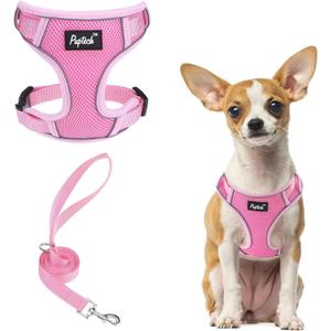 PUPTECK Dog Harness and Leash Set, No Pull Adjustable Pet Small Dog Harness, Reflective Soft Mesh Pet Vest, for Small Medium Dogs Walking, Pink, XS