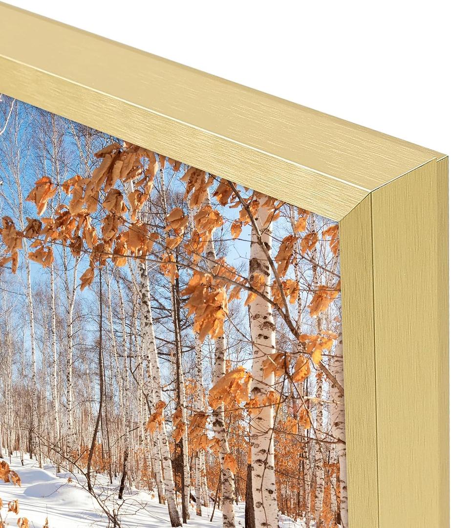 Golden State Art, 20x30 Aluminum Picture Frame, Gold Metal Thin Poster Frames for 20 x 30 inch Photo, Acrylic Front, Wall Hook for Horizontal or Vertical Display, 2 Pack