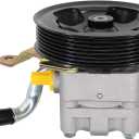 ApplianPar Power Steering Pump with Pulley for EX37 FX37 G37 M37 EX35 FX35 M35 G35 370Z Q70 Q70L QX50 QX70 Q40 Q50 Q60