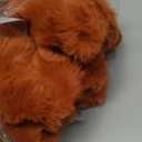 Smoofy Faux Fur Throw Blanket for Couch - Burnt Orange Super Soft Cozy Bubble Blanket, Fluffy Plush Fuzzy Throw for Sofa & Bed, Thick Lightweight Warm Blanket, Luxury Aesthetic Gift for Women 50"x60"