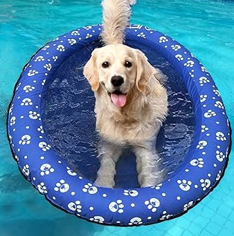 Ginkago Pool Floats for Dogs Pool Toys Pool Float for Large Dogs Pool Floaties for Small Puppy Swimming