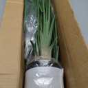 Artificial Bird of Paradise - Fake Plants Indoor Faux Tropical Palm Potted Dypsis Lutescens for Home Office Decor Housewarming