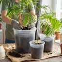 12 Pack 6.2/7.7/9.4 Inch Large Clear Nursery Pots for Plants Flexible Clear Plastic Nursery Pots with Drainage Hole Transparent Plastic Seedling Planter for Indoor Outdoor Rooting Visibility