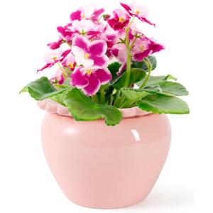 Self Watering Plant Pot 6 Inch African Violet Pots Ceramic Self-Watering Planter for Indoor Plants for Indoor Plants for Plant Enthusiasts Pink High Absorption Herbaceous Flower Pots