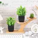 Der Rose 2 Pack Fake Plants Small Artificial Potted Plants Faux Plants Black Bathroom Accessories for Home Office Desk Bathroom Decor Indoor
