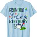 Grandma Of The Birthday Boy Hole In One Golf Lover T-Shirt, L, Baby Blue