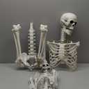 CAMIRUS 5.4ft Skeleton Halloween Decoration, Life Full Size Skeleton with Dog Skeleton, Posable Human Skeletons Realistic Plastic Bones for Halloween Haunted House Scary Decor