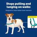 PetSafe Easy Walk No-Pull Dog Harness - Ultimate Harness to Help Stop Pulling - Pull-Free Walks - Take Control & Teach Better Leash Manners - Patented Martingale Loop Design - Teal, Small
