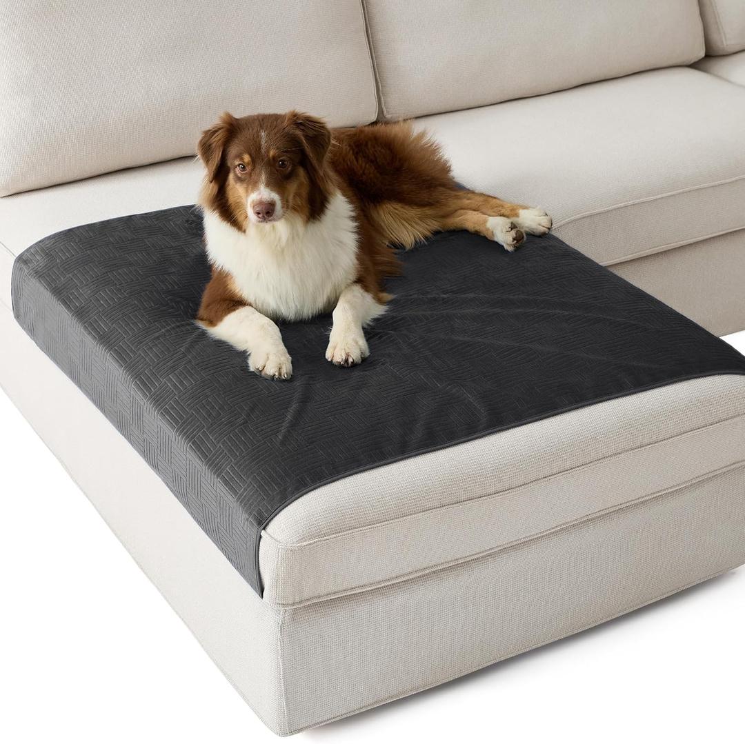 Bedsure Waterproof Couch Cover for Dogs Washable - Waterproof Blanket for Large Dogs Couch Sofa Cozy, Lightweight Furniture Protector for Pet Cat Quick Drying Puppy, Charcoal, 40x50IN
