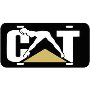 Metal License Plate Frames for Cat for Caterpillar Decorative Plates Funny Design-Tf-86-72 (69)
