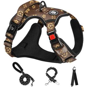 NESTROAD No Pull Dog Harness,Adjustable Oxford Dog Vest Harness with Leash,Reflective No-Choke Pet Harness with Easy Control Soft Handle for Small Dogs(Small,Dark Brown) (Sneck 11-15" chest 15-21")