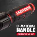 CRAFTSMAN Torque Wrench, 3/8" Drive (CMMT99433)