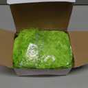 Taiyin Feather Boas Artificial Fluffy Boas Bulk Decoration for Wedding Costume Halloween Birthday Xmas (Lime Green)