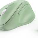 Ergonomic Wireless Mouse with USB Receiver for PC Computer, Laptop and Desktop, Ergo Vertical Mouse with Silent Clicks Long Battery Life, Up to 1600 DPI & 1 AA Battery Powered, Green