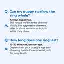 N-Bone Puppy Teething Rings Taste of Texas Pulled Pork Flavor 3 Count