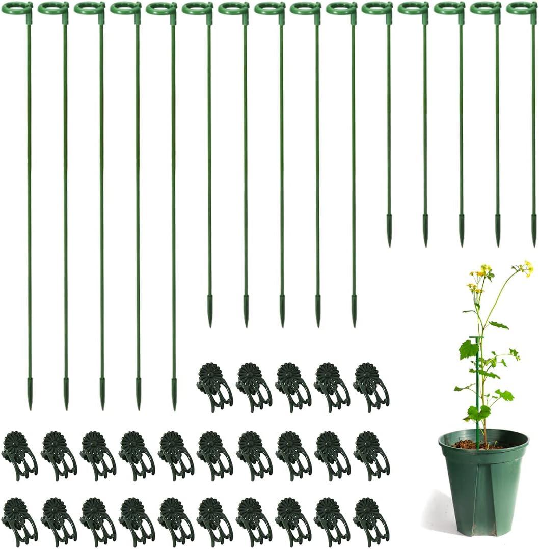 LUCKJUJU 30 Pcs Plant Support Stakes with 30 Pcs Plant Clips Garden Floral Flower Support Single Stem Support Stake for Phalaenopsis Orchid Flower Roses Amaryllis