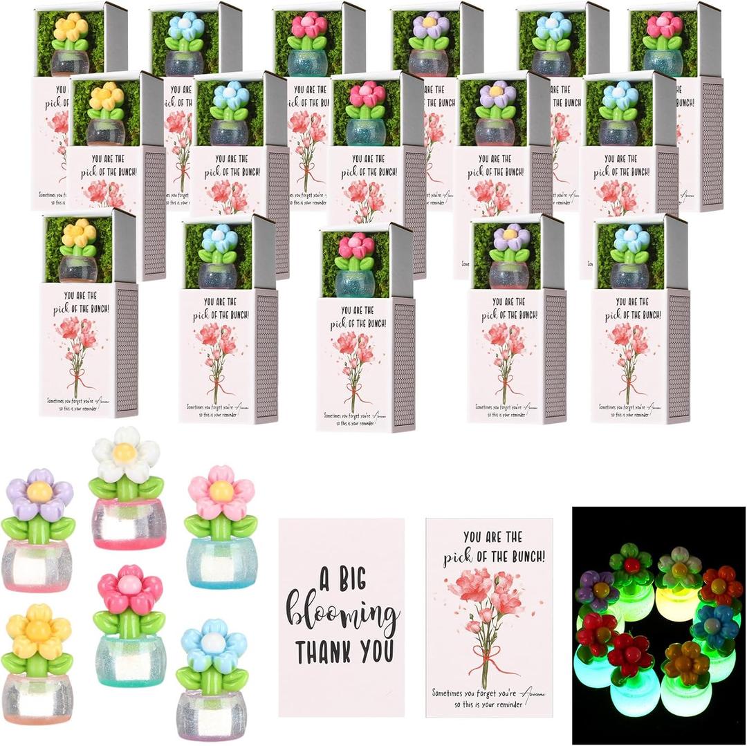 Wonderjune 36 Sets Employee Appreciation Gift Luminous Flowerpot Bulk Emotional Support Gift Box with Inspirational Card Mini Glowing Flower Pots Desk Pet for Valentine Coworkers Teacher