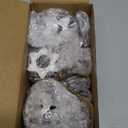 Nuenen 8 Pcs Ceramic Christmas Tree Porcelain Christmas Tree Winter Xmas Trees Mini Stoneware Trees for Mantle Table Shelf Living Room Bedroom Cabinets Office Desktop (Classic,Black)