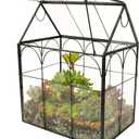 Glass Geometric Plant Terrarium,Succulent & Air Planter for Home Garden Office Decoration (Black House)