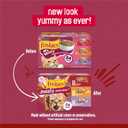Purina Friskies Gravy Wet Cat Food Variety Pack, Prime Filets Meaty Favorites - (Pack of 24) 5.5 oz. Cans