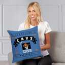 Northwest Pillow 18inch 2 Packs