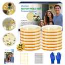 Mold Test Kit for Home, 14 Simple Mold Detectors with Detailed Mold Identification Guide, DIY Mold Testing Kit for Home Surfaces & Indoor Air Quality & HVAC & Car, Results in 48 Hours, 14PCS