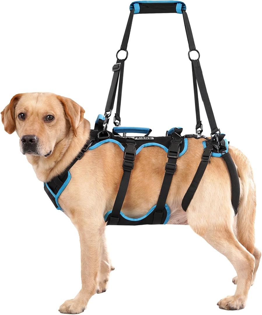 Dog Lift Harness for Male Dogs, 2-in-1 Detachable Support Harness, Full Body Carrying with 4 Handles, Dog Sling for Large Dogs Hind Leg Support (Black, X-Large)