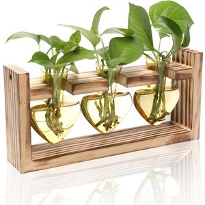 Plant Terrarium Propagation Stations Hydroponics Home Garden Decoration Gift for Women with Wooden Stand Heart Shaped Colored Glass Vase (Gold)