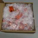 Yalikop 40 Pack Fall Resin Mini Owl Figurine Fall Owl Pumpkin Thanksgiving Centerpieces Table Decor Harvest Pumpkins Corns Decoration Indoor Autumn Centerpieces Favors Gifts for Home Table Garden