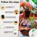 DIY Terrarium Kit for Plants Build a SelfSustaining Closed Ecosystem Supplies for Up to68 oz(12Liter) Succulents, AirPlants(Tillandsia), Fern Jar Not Included