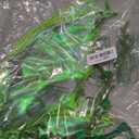 Fairy Wings Costume for Women, Sparkle Butterfly Angel Wings Halloween Costume Dress Up Cosplay Party Favor (Green)