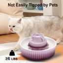Lawfery Ceramic Cat Water Fountain, 2.1L/71oz Cat Fountain with 3 Carbon Filters and 2 Water Pumps, Cupcake Pet Water Fountain for Cats and Dogs (Purple)
