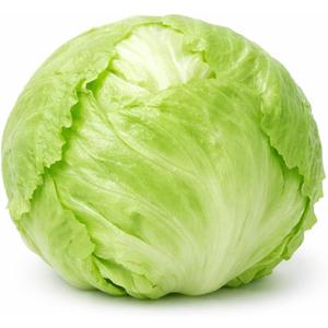 Crisphead Iceberg Lettuce Seeds – Compact Round Heads with Crisp Texture for Home Gardens, Raised Beds & Containers