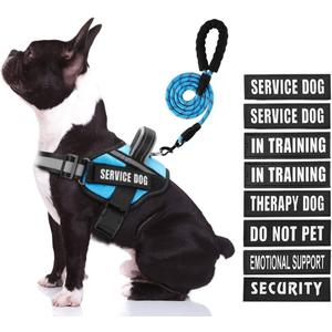 Service Dog Harness (Medium, Light Blue) with Reflective Strips, Leash, and 10 Patches, for Dog Training and Walking